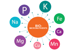Bio-Micronutrients_Mamon